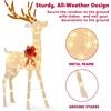 image:imageJOYIN Lighted Christmas Reindeer amp Sleigh Set 4FT Outdoor Christmas Decorations for Yard Warm White LED Lights Xmas Yard Decor 3D Deer with Ground Stakes for Lawn Garden Porch Holiday Front Door