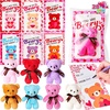 image:imageJOYIN 28 Pack Valentines Day Mini Plush Toys with Gift Cards Mini Keychains for Valentines Party Favor School Exchange Prize and Valentines Classroom Gift Exchange
