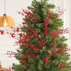 image:imageJoiedomi 24 Pcs Christmas Tree Berry Stem Silver Decorative Bead Sticks Glittery Twigs Picks Branches for Christmas Tree Small Vase Holiday Wedding Party 17 Inches SilverRed