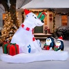 Gift Bear