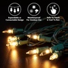 image:imageJOYIN 60 Pcs Replacement Christmas Tree Light Bulbs 25V 0425 Watt 170 mA Incandescent String Lights Replacement Bulb Green Base for IndoorOutdoor Xmas Tree Lights Decoration Warm White200
