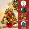 image:imageJoiedomi 242FT Tabletop Mini Christmas Tree Pre lit with Warm Lights Holly Berries Pine Cones and Ornaments for Indoor Artificial Mini Xmas Tree Holiday Season Decorations GoldTree with bell